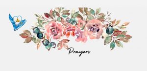 Read more about the article I pray for you today to be stable, committed, and tenacious in serving the Lord bearing in mind He comes first in your life and you shall daily testify in Jesus name. Amen
