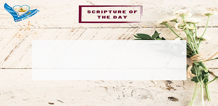 Read more about the article “Yet to all who received him, to those who believed in his name, he gave the right to become children of God” John 1:12