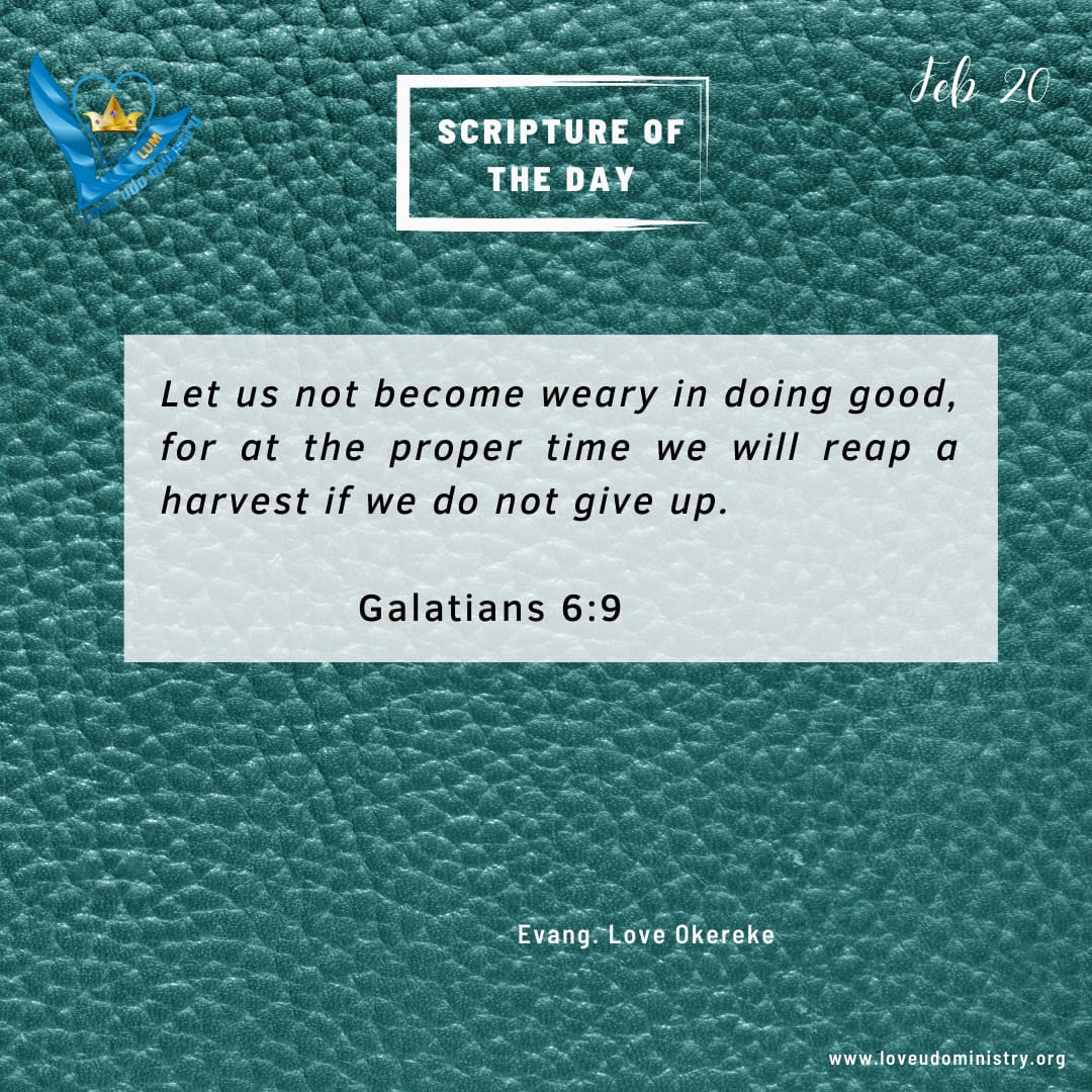 Read more about the article Galatians 6:9