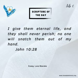 Read more about the article John 10:28